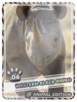 Western Black Rhino - Western Black Rhino