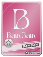 BamBam Common - BamBam Common