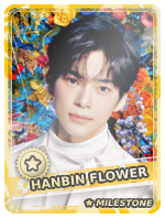 Hanbin Flower (Melting) - Hanbin Flower (Melting)