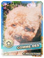 Comme Des (ani07) - Comme Des (ani07)
