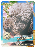 Garcons (ani07) - Garcons (ani07)