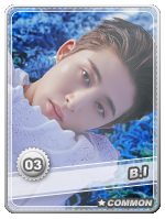 B.I 3 - B.I 3