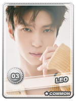 Leo 3 - Leo 3